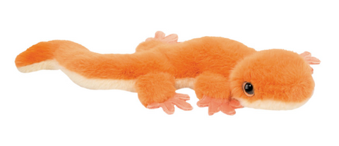 Sam Salamander