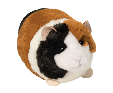 Pippin Guinea Pig