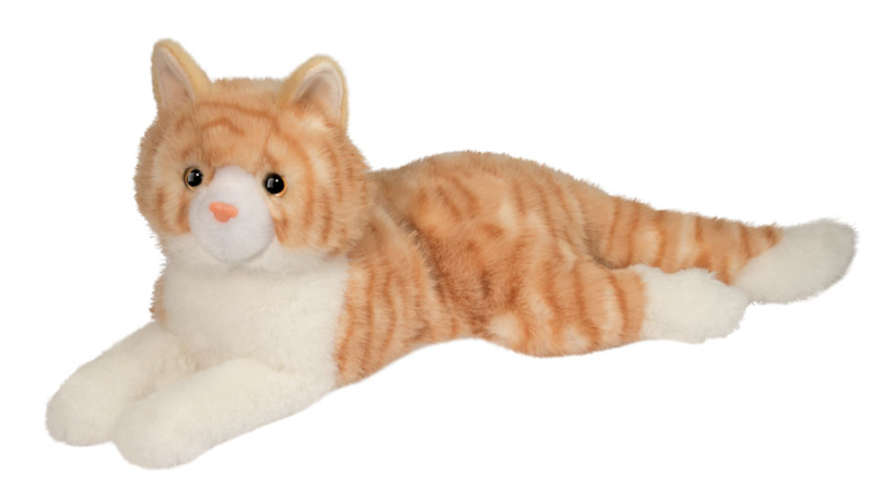 Mango Orange Cat