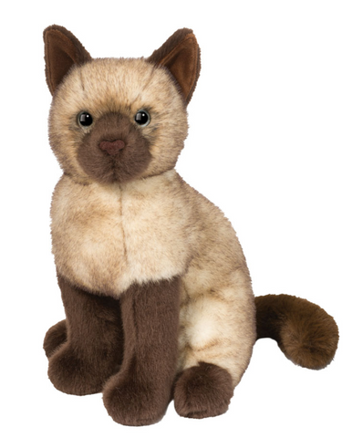 Chai Siamese Cat