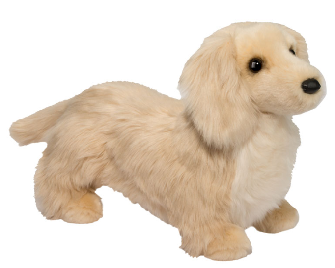 Haisley Golden Dachshund