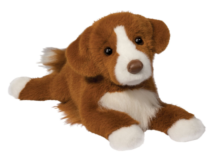 Rush Duck Tolling Retriever