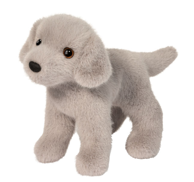 Slate Silver Lab