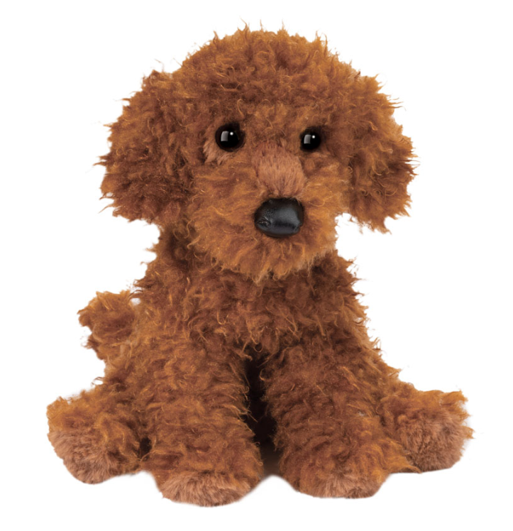 Ginger Miniature Poodle