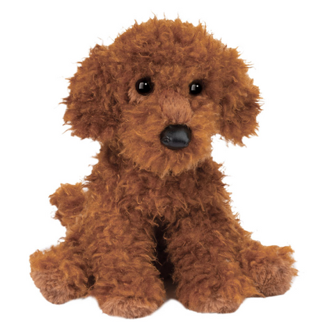 Ginger Miniature Poodle