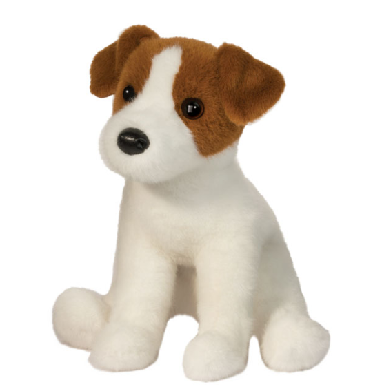 Fiona Jack Russell Terrier
