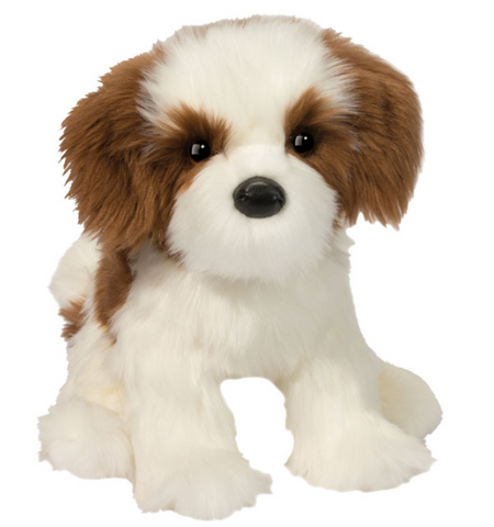 Farren Shih Tzu