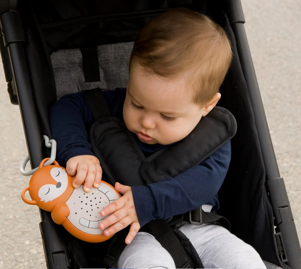 Sweet Dreamz On the Go - Fox