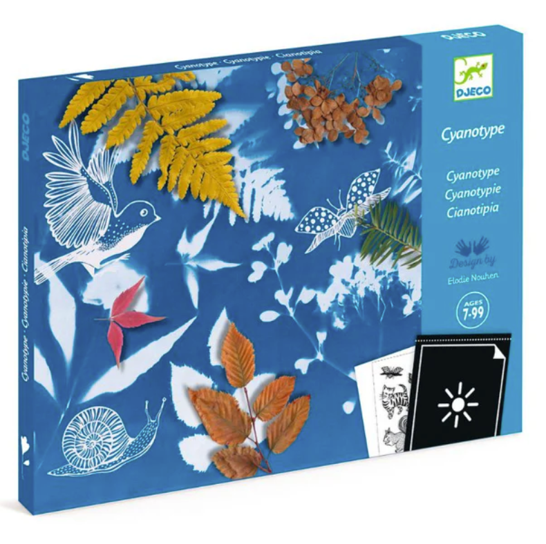 Cyanotype Starter Craft Kit