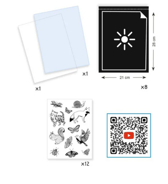 Cyanotype Starter Craft Kit