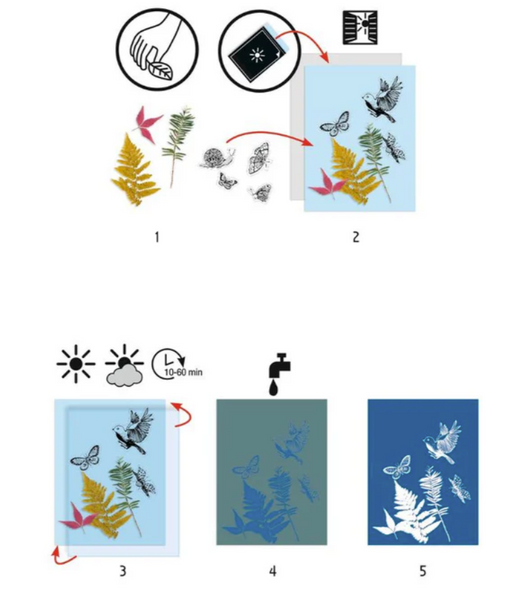 Cyanotype Starter Craft Kit