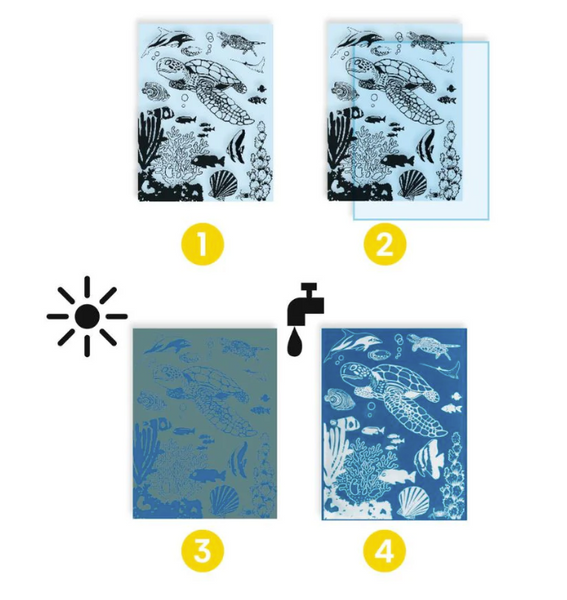 Cyanotype Ultramarine Craft Kit