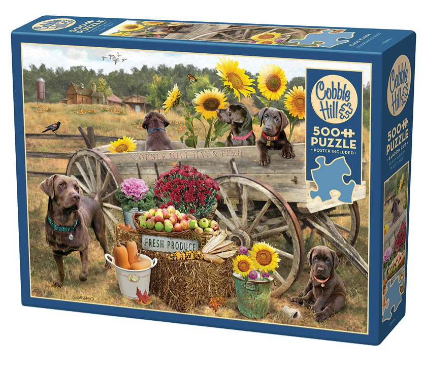 Choc Wagon 500 Pc