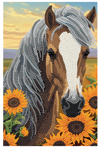 Notebook Kit: Horse