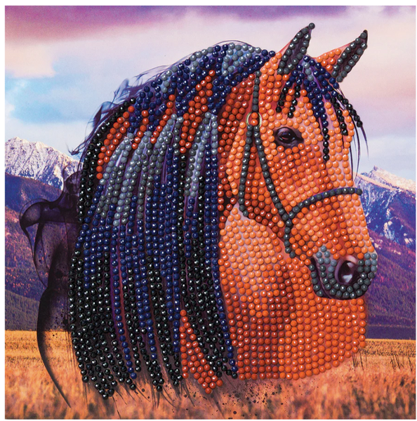 Card Kit: Horse