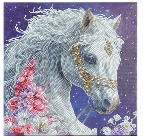 Mounted Kit: Mystic Beauty M