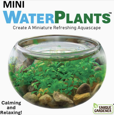 Mini WaterPlants