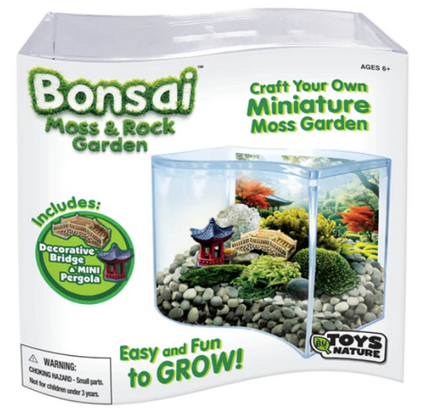 Bonsai Moss & Rock Garden Wave Terrarium