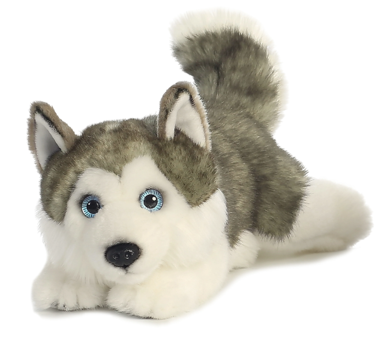 11" Husky - Lying