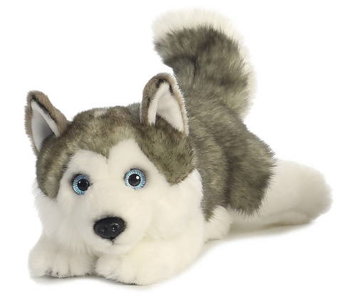 11" Husky - Lying