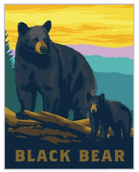 Paint by Number - Black Bear