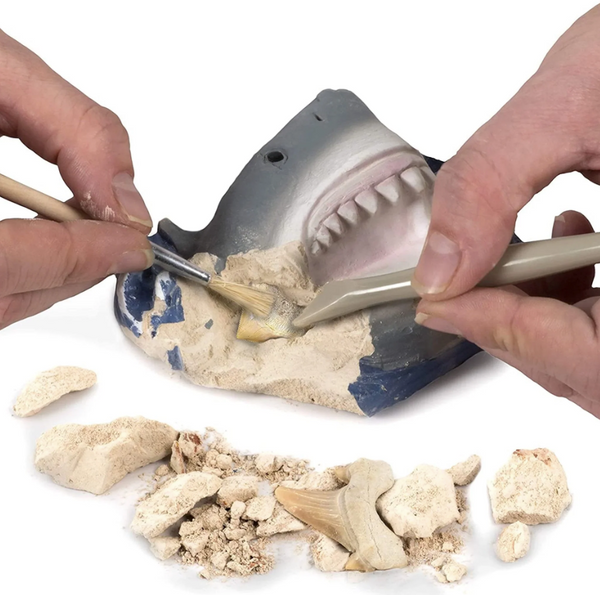 Nat' Geo Shark Tooth Dig Kit
