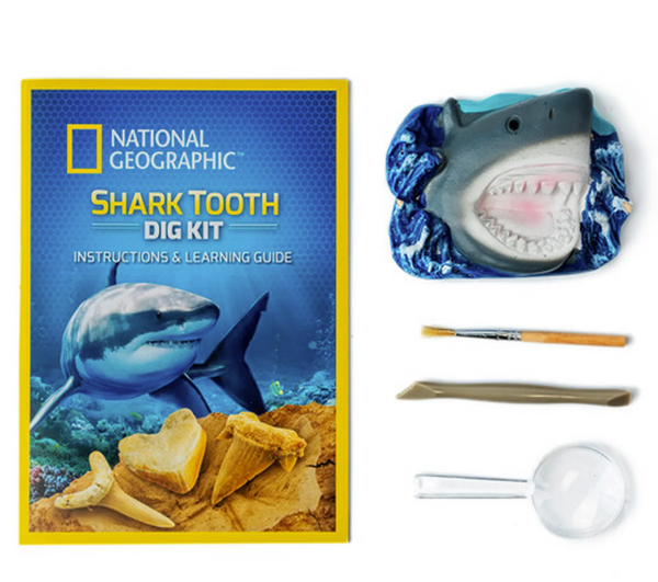 Nat' Geo Shark Tooth Dig Kit