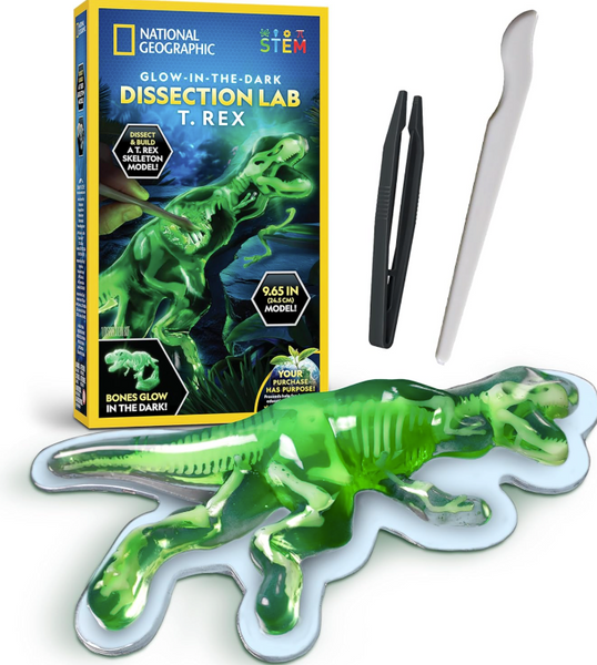 Nat' Geo Glow/Dark T. Rex
