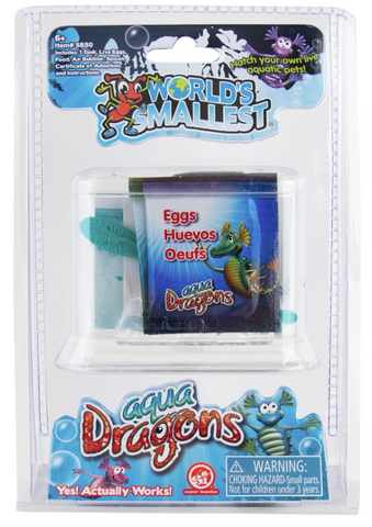 World's Smallest Aqua Dragons