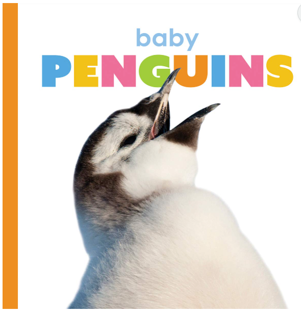 Starting Out: Baby Penguins