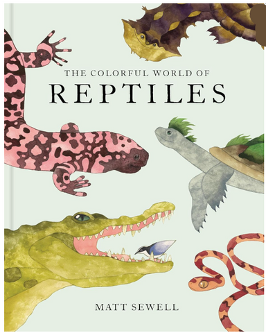 The Colorful World of Reptiles