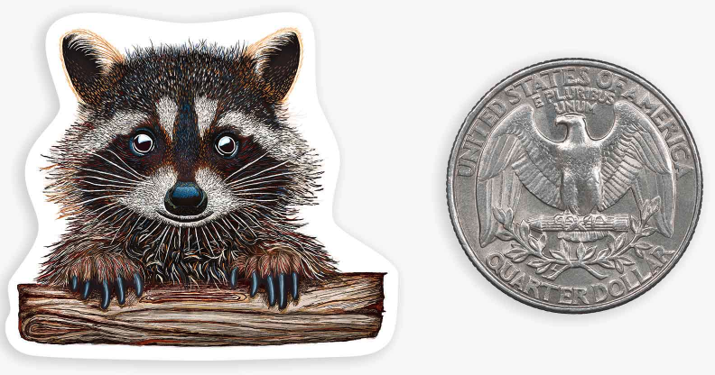 Rocky Raccoon- Mini Sticker