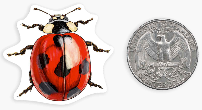 Ladybug - Mini Sticker