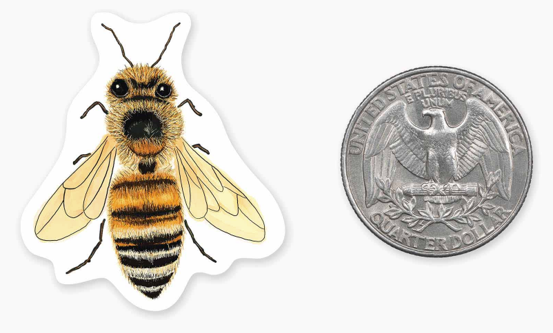Bee - Mini Sticker