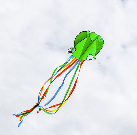 Octopus Kite