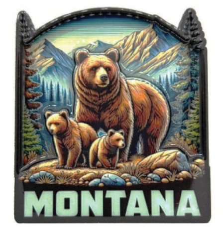 MT Bear w/Cubs Pin