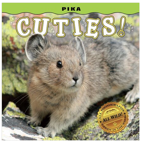 Pika Babies