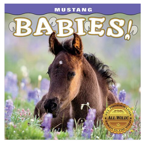 Mustang Babies