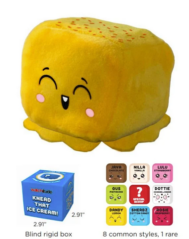 Knead That Ice Cream Mystery Box
