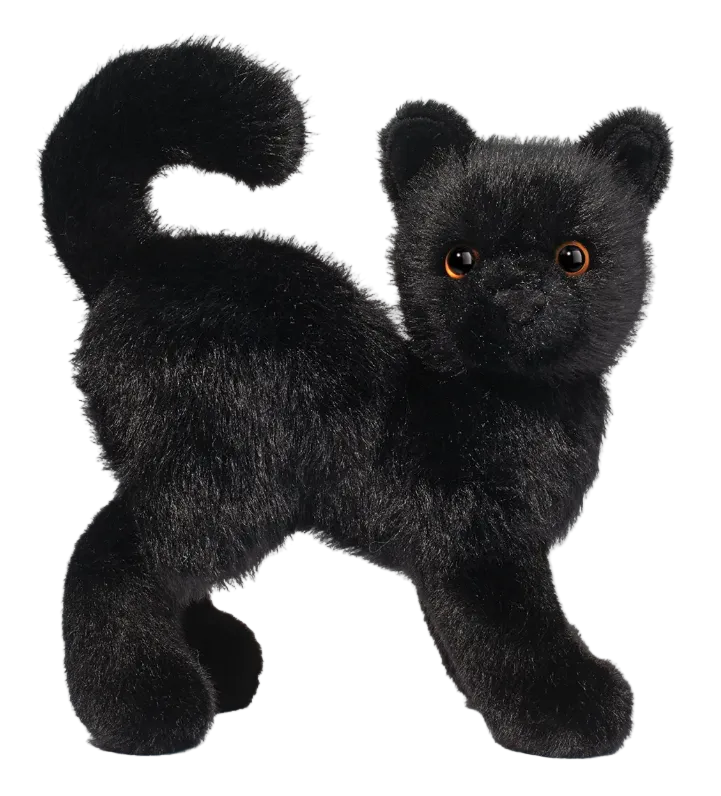 Scaredy Black Cat