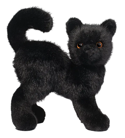Scaredy Black Cat