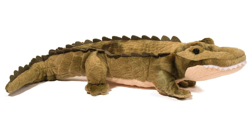 Stream Line Alligator