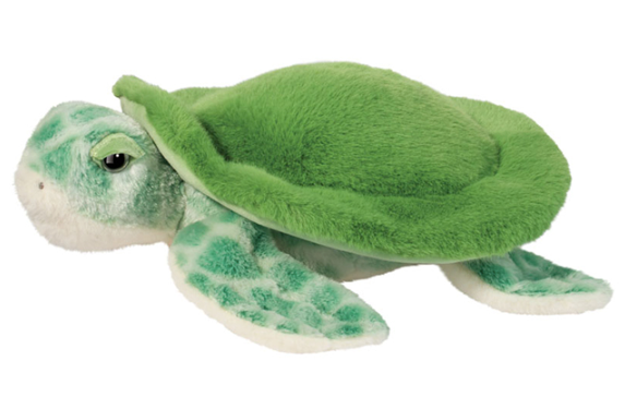 Drift Sea Turtle