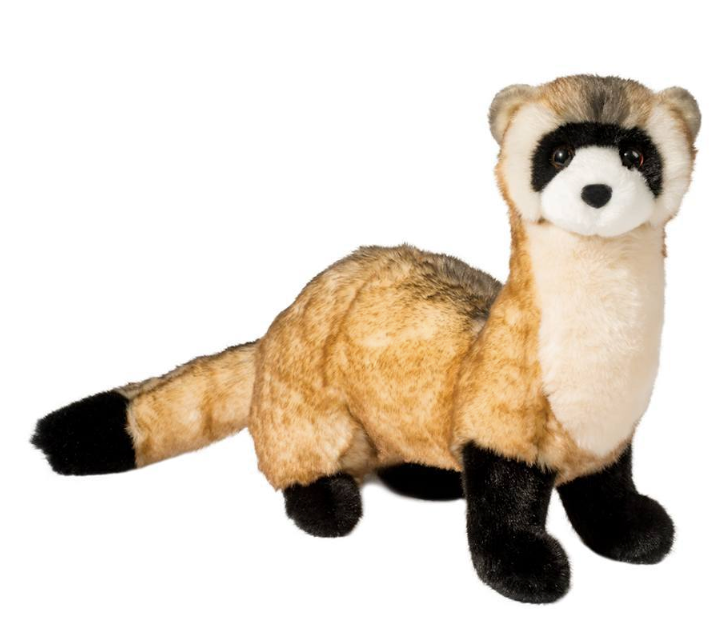 Vince Black Footed Ferret