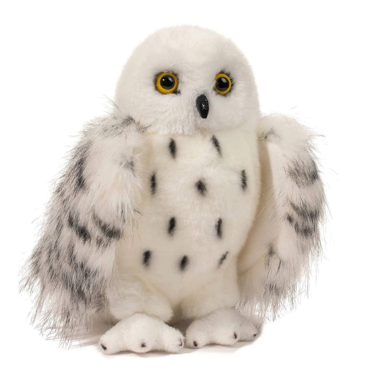 Wizard Snowy Owl