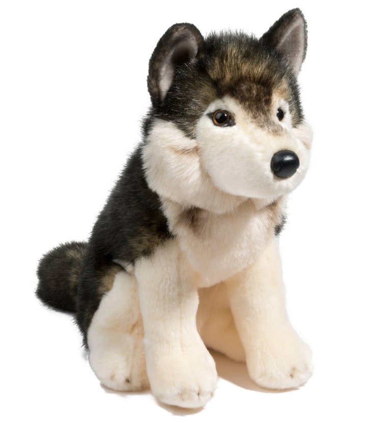 Atka Wolf