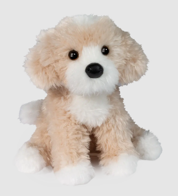Darcy Goldendoodle