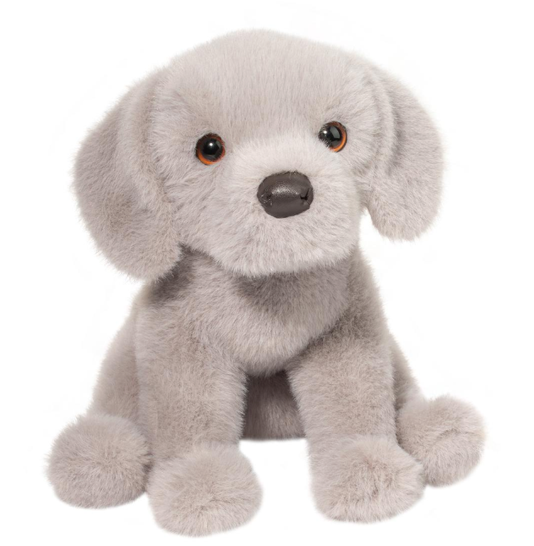 Argento Floppy Silver Lab