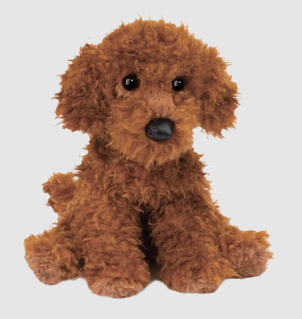 Ginger Miniature Poodle