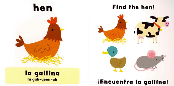 Animals/Los animales